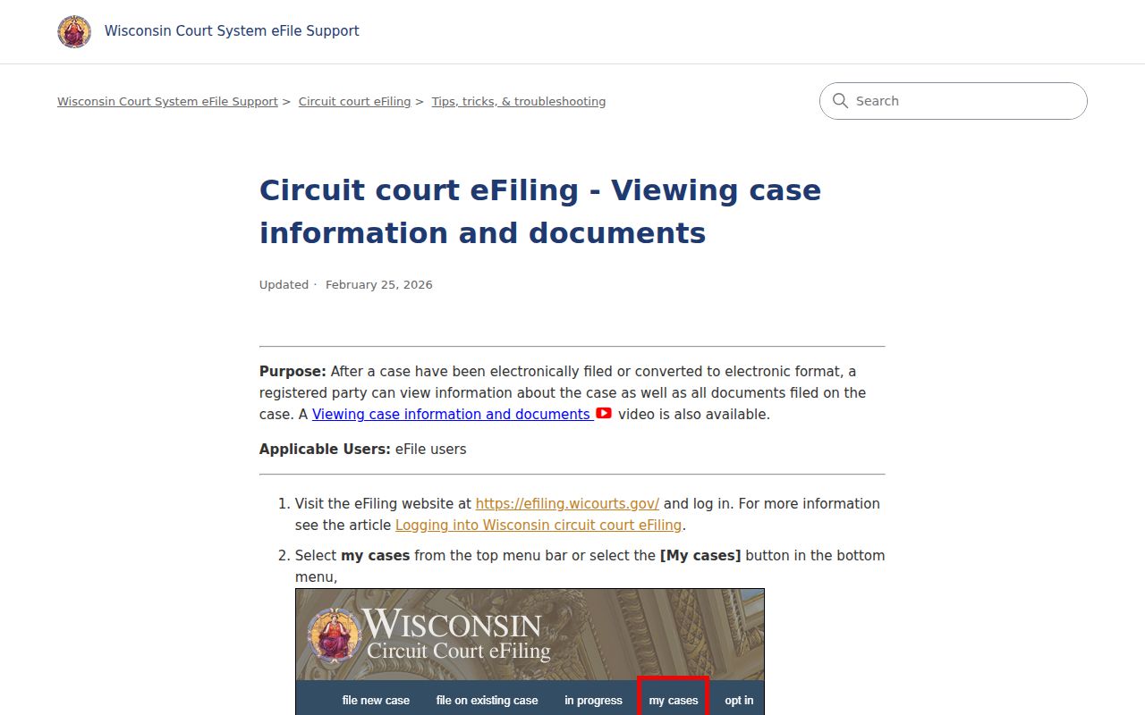 Chippewa County court case records document viewer instructions